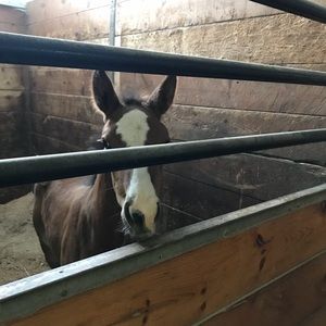 Meet your Posher, Cathy